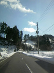 090107hare.jpg